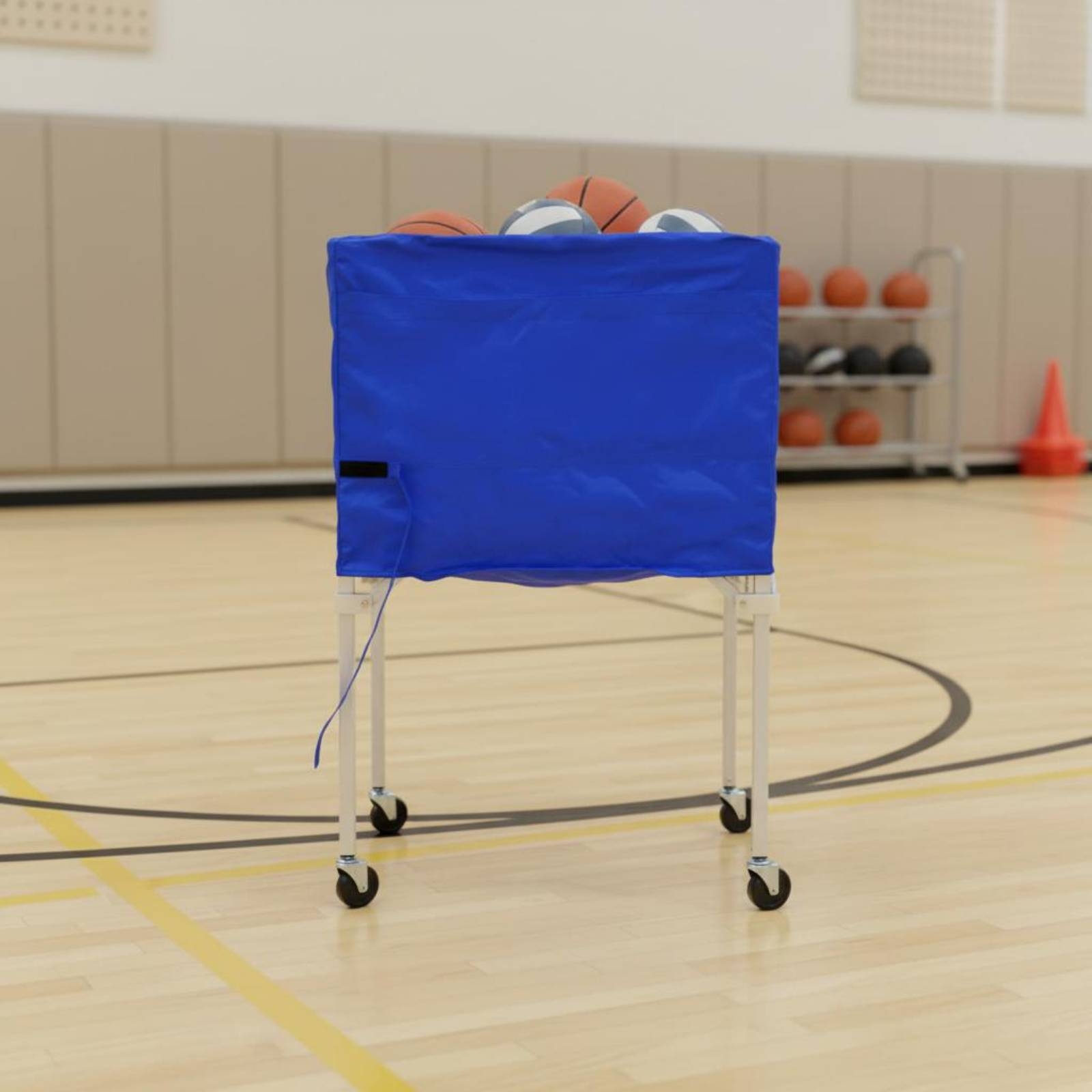 Faltbarer Ballwagen für Mehrer – Gym Ball Bewertung und Preis