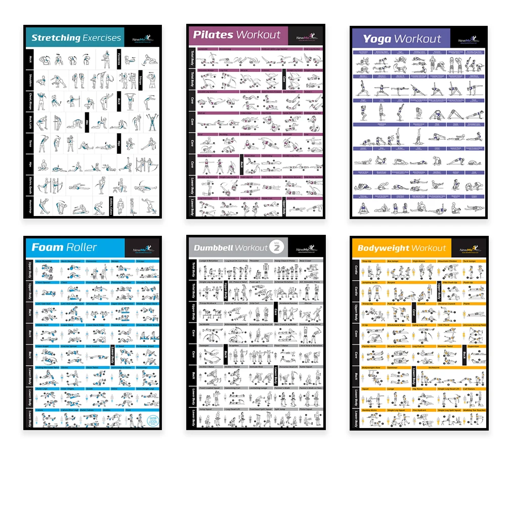 Körpertraining Übungsdiagramm  – Sports Equipment Poster Bewertung und Preis