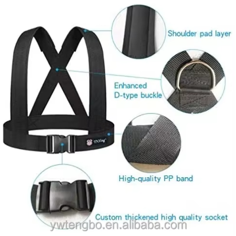 Doppel-Widerstandsband aus Lat – Jump Rope Bewertung und Preis